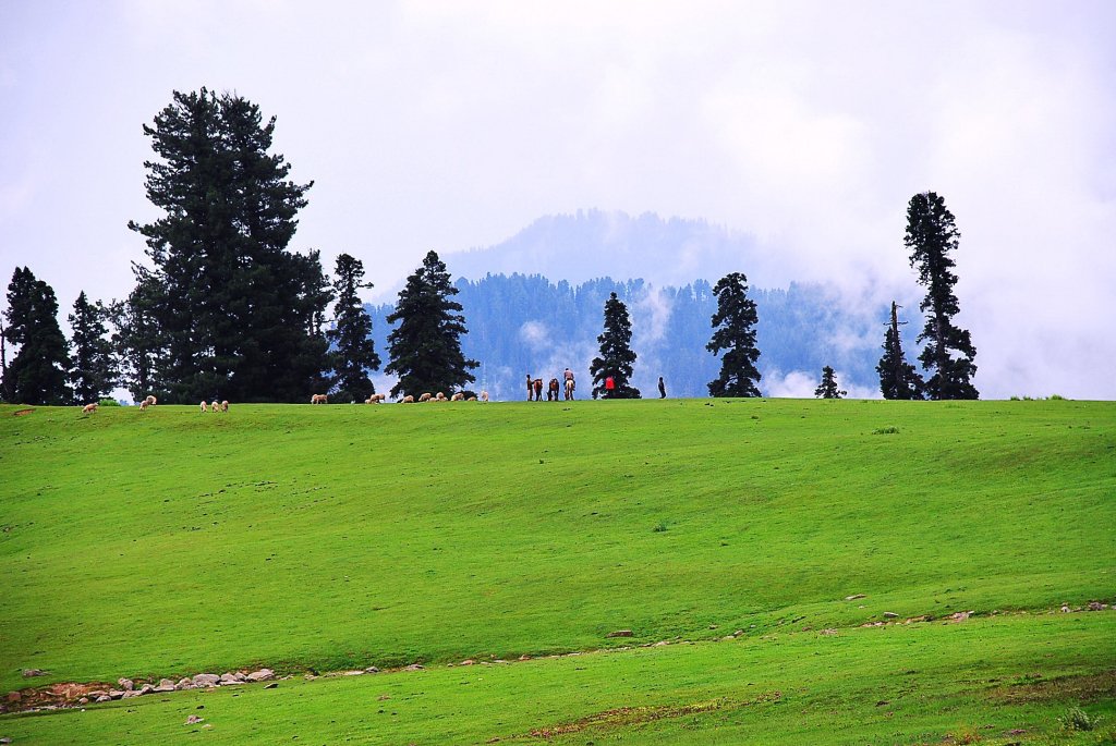 Kong Door, Gulmarg