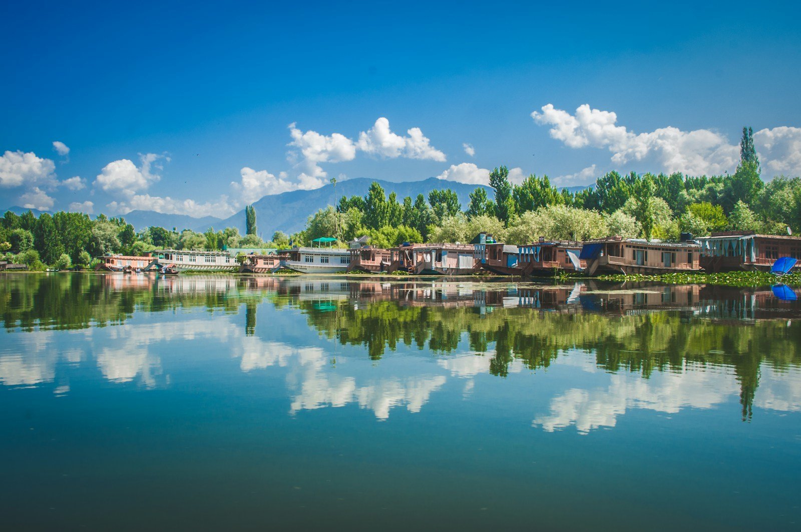 Dal lake srinagar